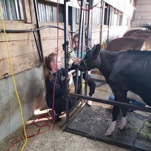 Meet your Posher, Kate-lynn